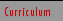Curriculum