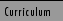 Curriculum